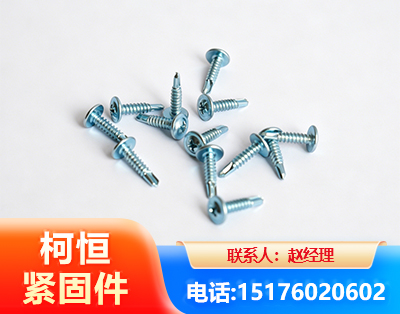 赣州华司钻尾丝
