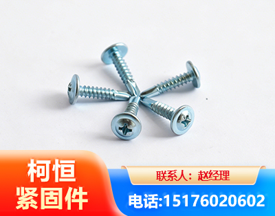 赣州华司钻尾丝